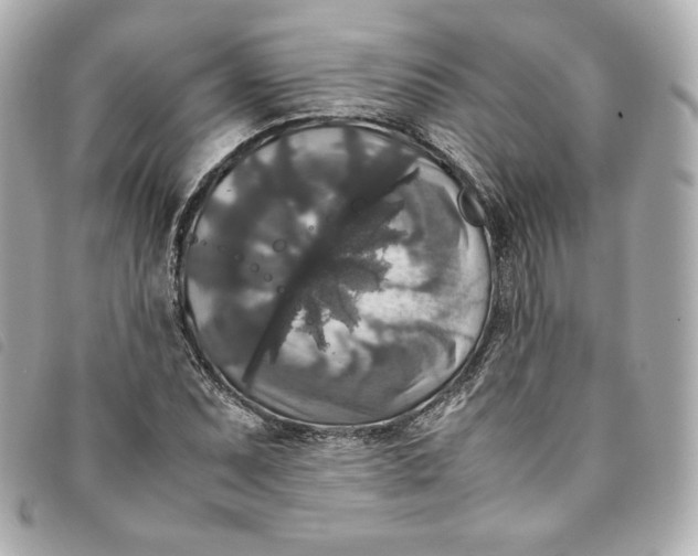 X0000093491071200710261113