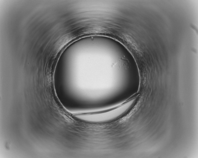 X0000093491073200710261112