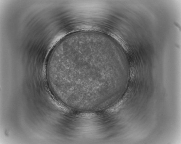 X0000093491074200710261112