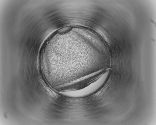 X0000093491076200710261112