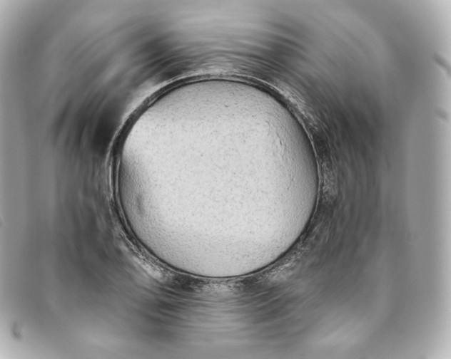 X0000093491078200710261112