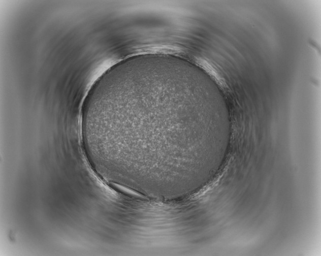 X0000093491079200710261112