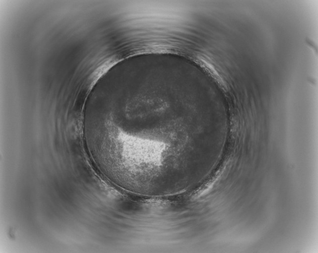 X0000093491081200710261112