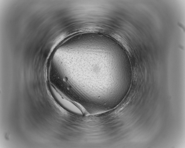 X0000093491083200710261112