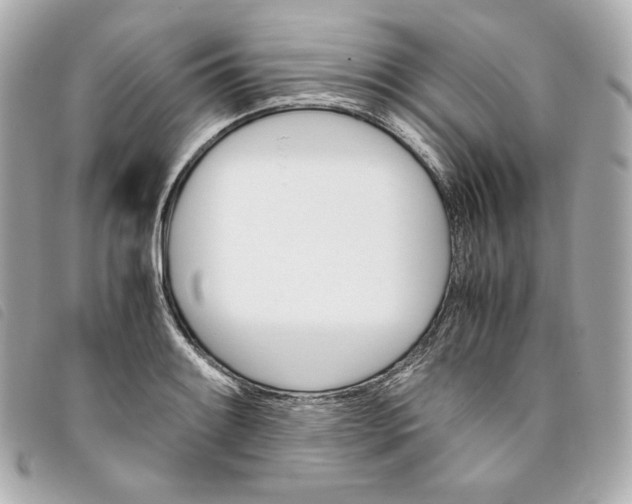 X0000093491084200710261112