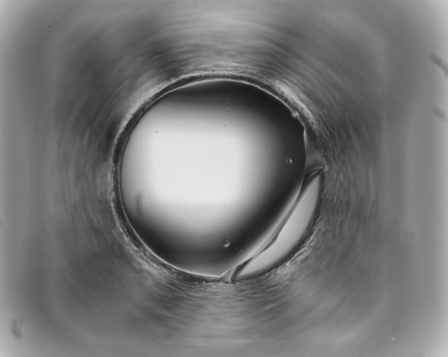 X0000093491085200710261112