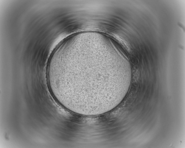 X0000093491086200710261112