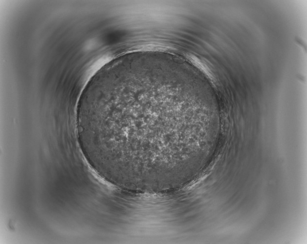 X0000093491087200710261112