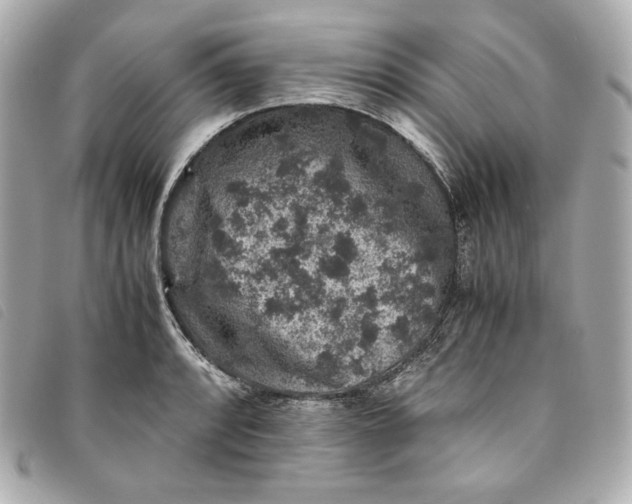 X0000093491088200710261112