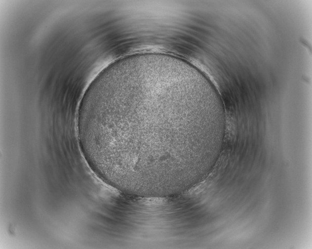 X0000093491090200710261112