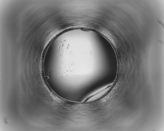 X0000093491093200710261112