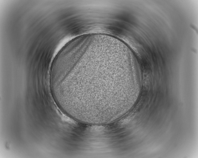 X0000093491094200710261112