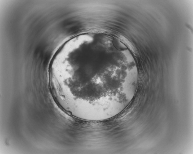 X0000093491095200710261112