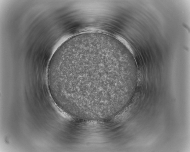 X0000093491098200710261112