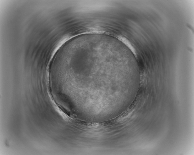 X0000093491099200710261112