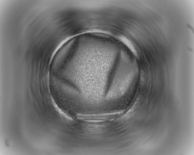 X0000093491100200710261112