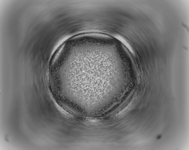 X0000093491101200710261112