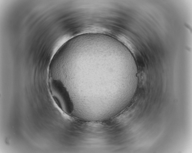 X0000093491103200710261112