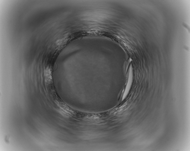 X0000093491106200710261112