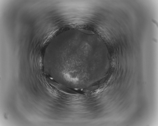 X0000093491108200710261112