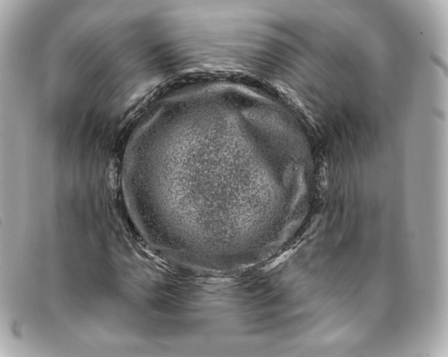 X0000093491110200710261112