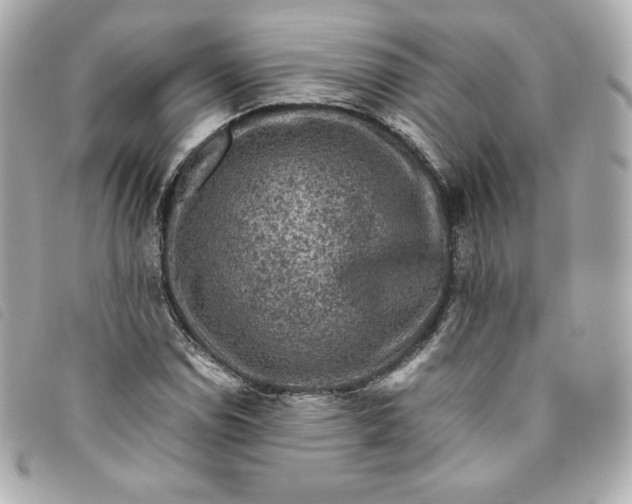 X0000093491114200710261112