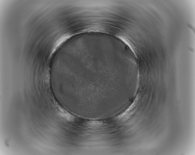 X0000093491115200710261112