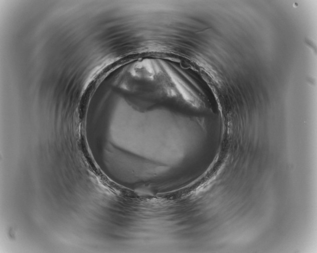 X0000093491117200710261112