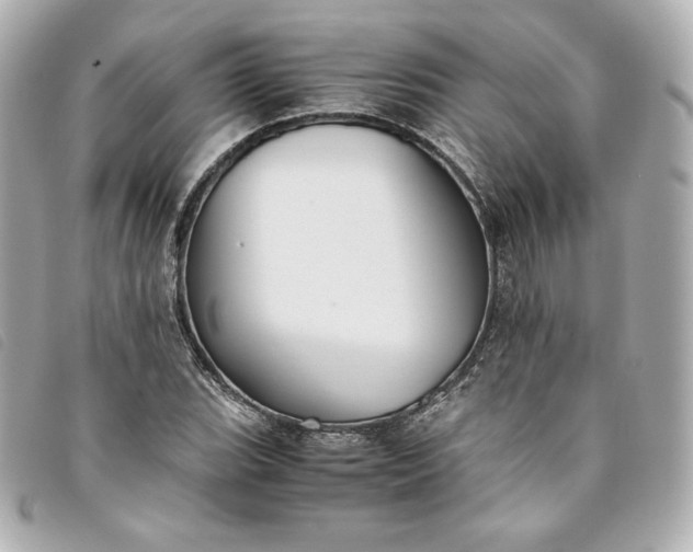 X0000093491119200710261112