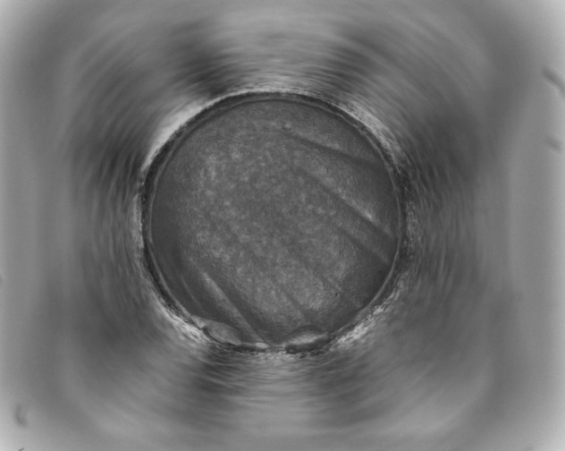 X0000093491120200710261112