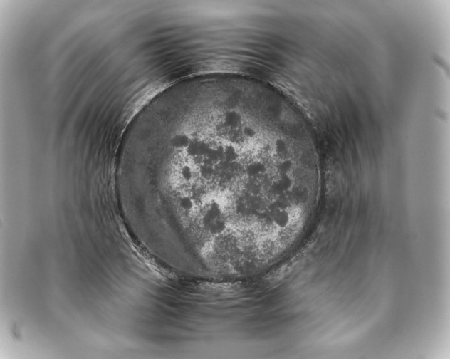 X0000093491121200710261112