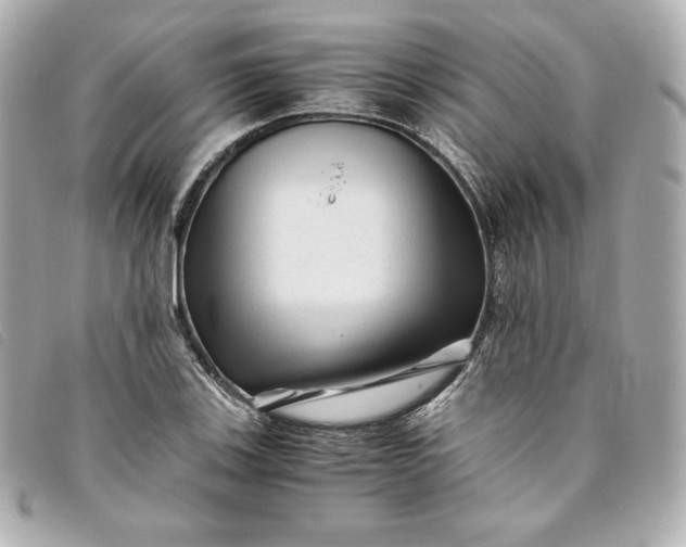 X0000093491123200710261112