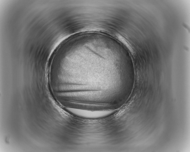 X0000093491124200710261112