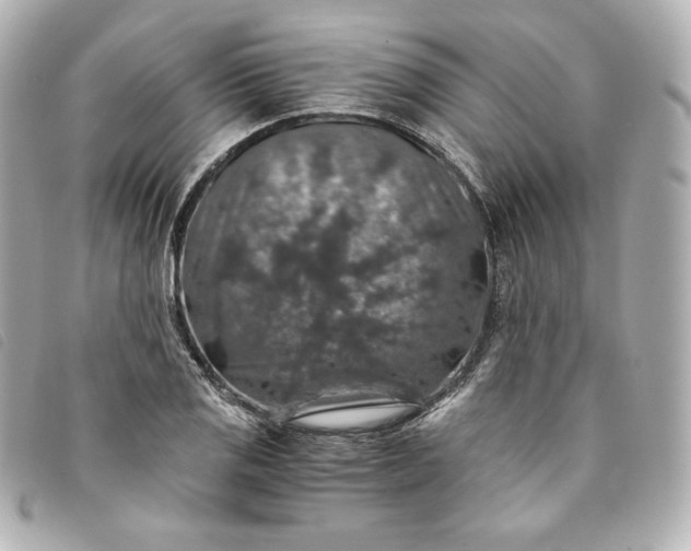 X0000093491125200710261112