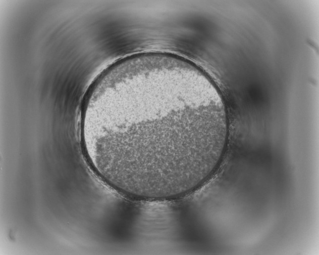 X0000093491126200710261112