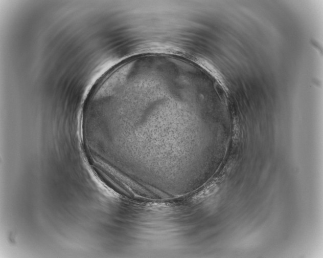 X0000093491128200710261112