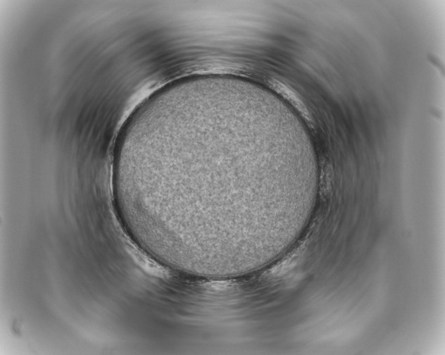 X0000093491130200710261112