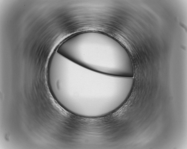 X0000093491132200710261112