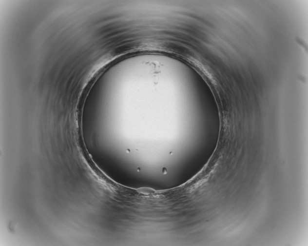 X0000093491133200710261112