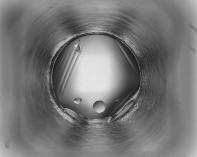 X0000093491134200710261112