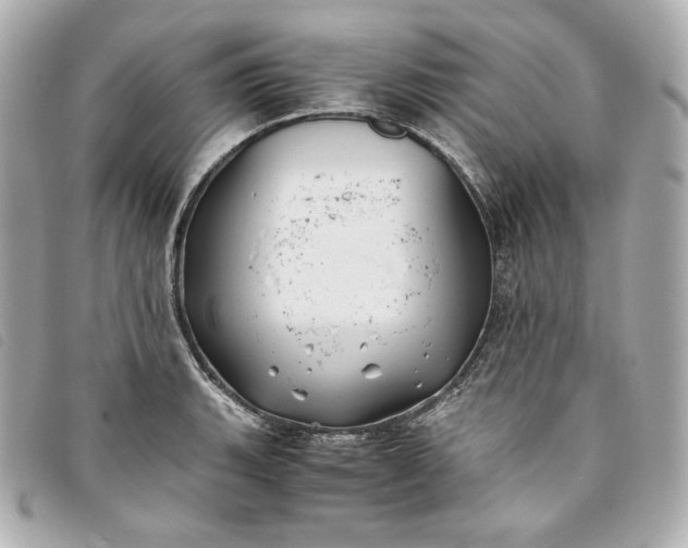 X0000093491135200710261112