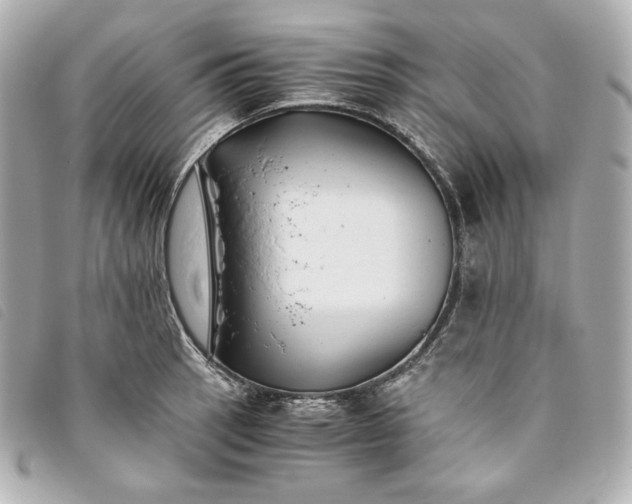 X0000093491137200710261112