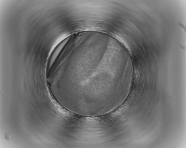 X0000093491138200710261112