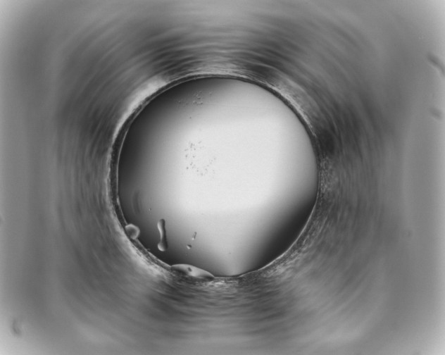 X0000093491139200710261112