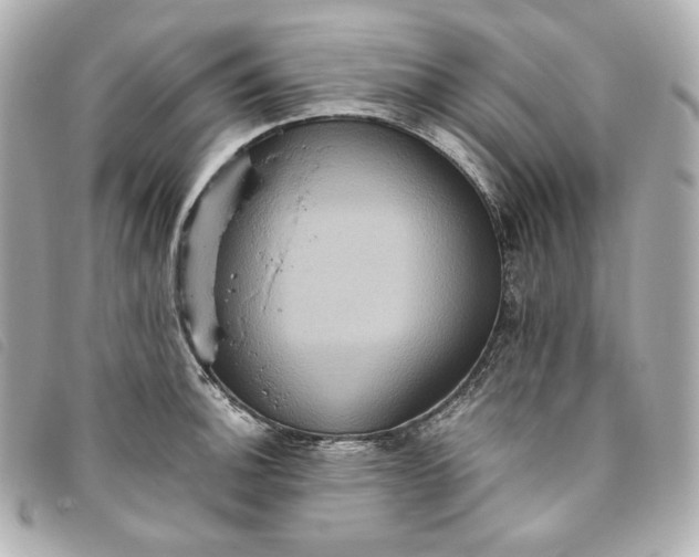 X0000093491140200710261112