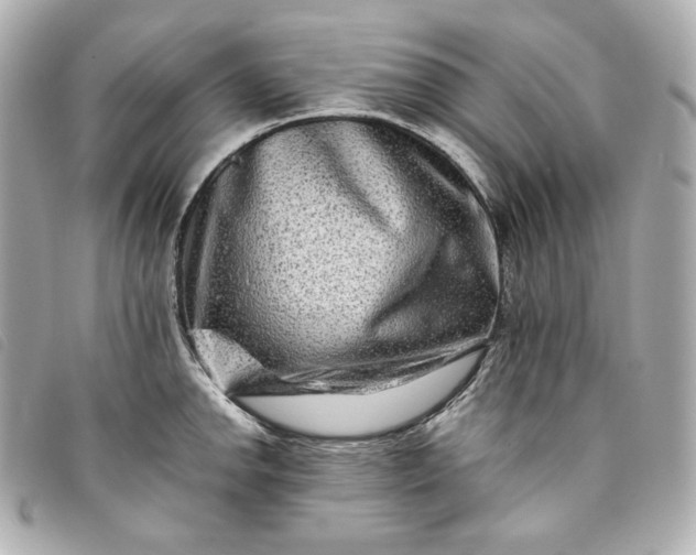 X0000093491142200710261112