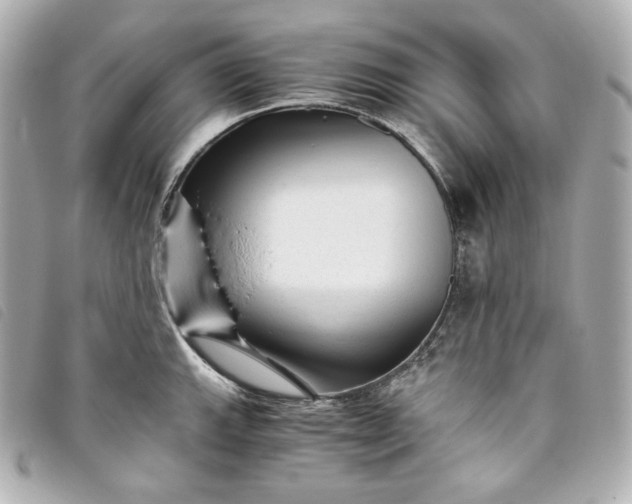 X0000093491143200710261112