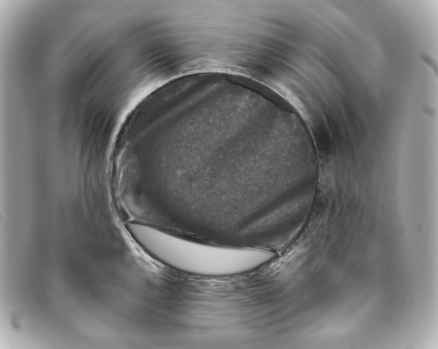 X0000093491144200710261112