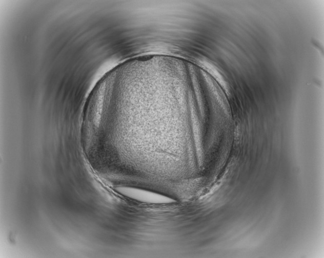 X0000093491146200710261112