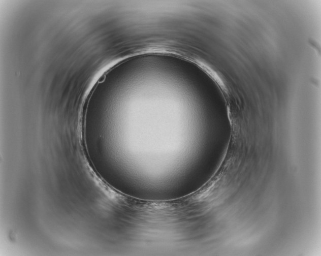 X0000093491148200710261112